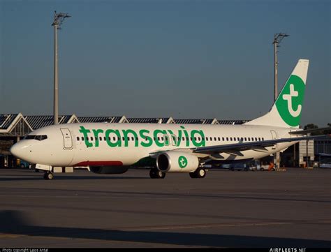 Transavia Airlines Boeing Ng Max Ph Hxc Fhoto Airfleets