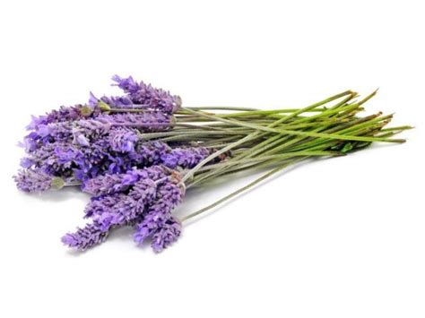 Herb of the Month: Lavender | Food Network Healthy Eats: Recipes, Ideas ...