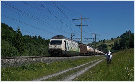 Re Fotos Igschieneschweiz Startbilder De