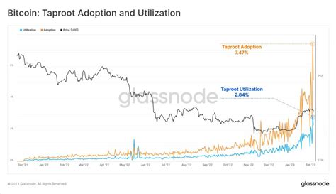 نشاط عملة البيتكوين يقفز إلى أعلى مستوى له في ثلاث سنوات، هل سعر 30 ألف