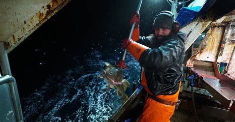 Renowned catches Discovery+ extreme fishing doc | News | Broadcast