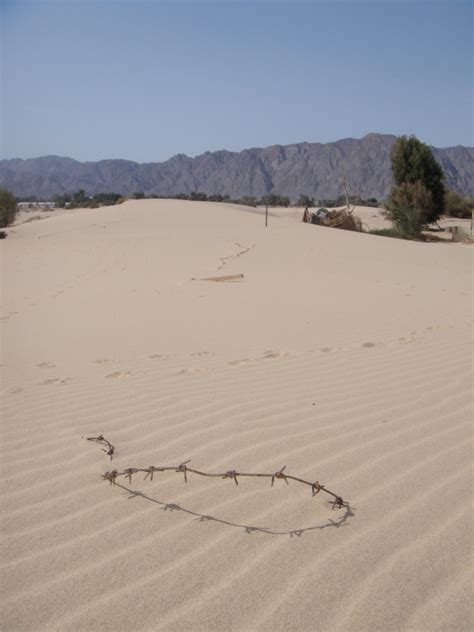 Nuweiba, Sinai | The Velvet Rocket