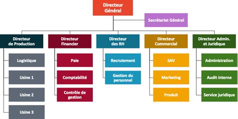 Les Différents Types Dorganigramme Dentreprise Ad Valoris