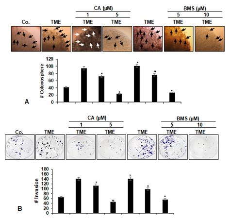 Biomedicines Free Full Text Targeting Nf κb Signaling By Calebin A A Compound Of Turmeric