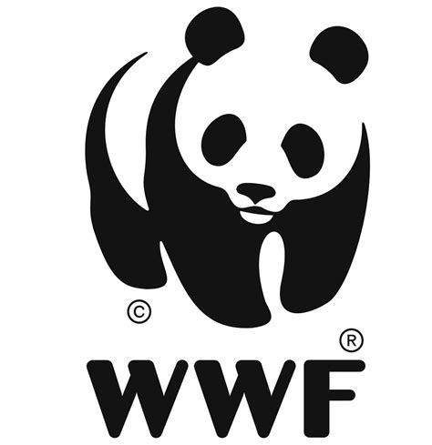 WWF logo : histoire, signification et évolution, symbole