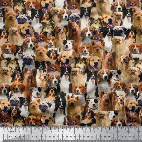 Multicolour Dog Print Fabric Decorative Fabric Cotton Etsy