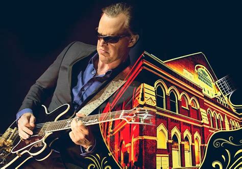 Joe Bonamassa live in concert - TotalNtertainment