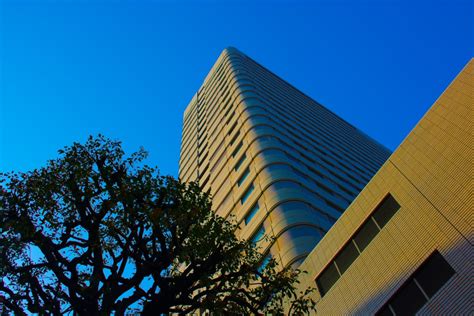 Fotos gratis azul arquitectura cielo tiempo de día punto de