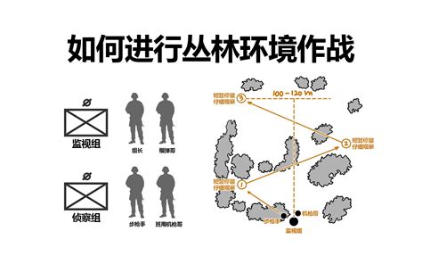 日常生活中如何进行丛林环境作战 1 ：行进与侦察 狗性巧克力 狗性巧克力 哔哩哔哩视频