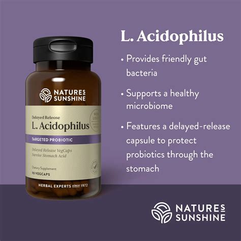 The Powerhouse, Incredible Benefits of Lactobacillus Acidophilus