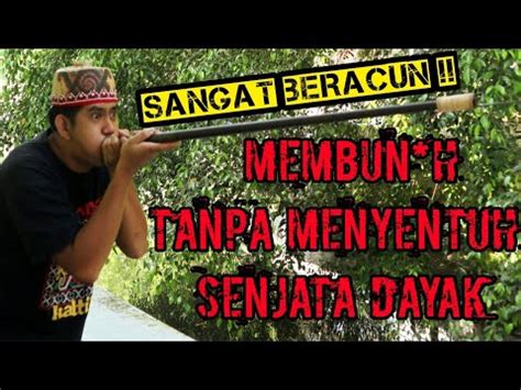 Membun H Tanpa Menyentuh Senjata Ditakuti Penjajah Sangat Beracun