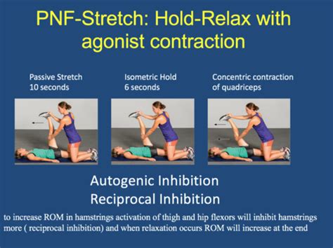 Proprioceptive Neuromuscular Facilitation Hot Sex Picture