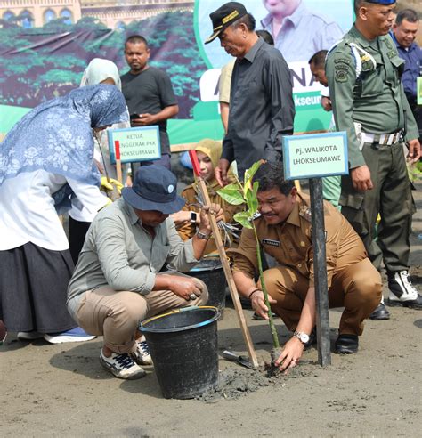 Upayakan Kota Adipura Pemko Lhokseumawe Tanam Mangrove Dan Bentuk