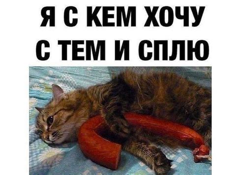 Всё ... время позднее ... писать, мыЦа и спать! ☝ | Лазерная резка ...