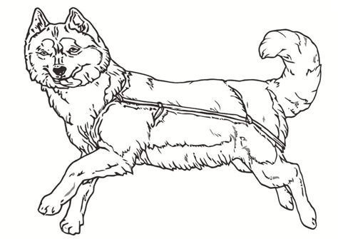 In Harness Coloring Pages - Coloring Cool