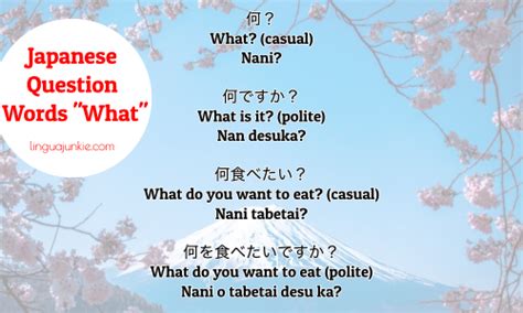 9 Japanese Question Words That Learners Like You Need In Your Brain