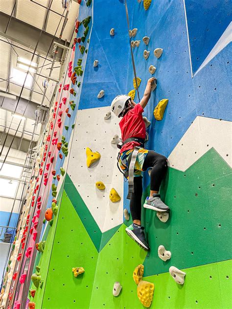 Rock Wall Gym Kids Indoor Climbing For Kids | Kids Climbing Wall At