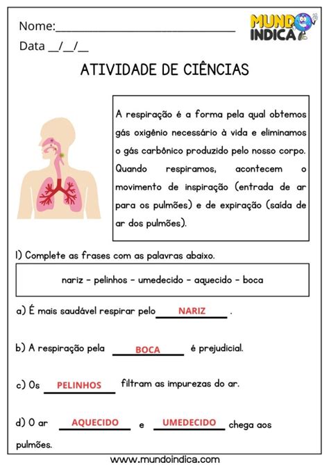 Atividade De Ciências 5 Ano Com Texto - 20 Atividades de Ciências para 5 ano Ensino Fundamental com Respostas