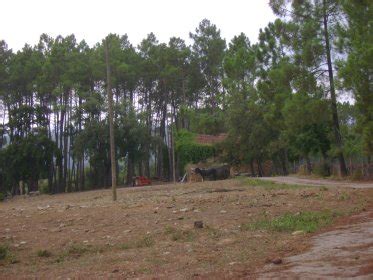 Escola de Equitação da Quinta do Cerejal Proença a Nova All About