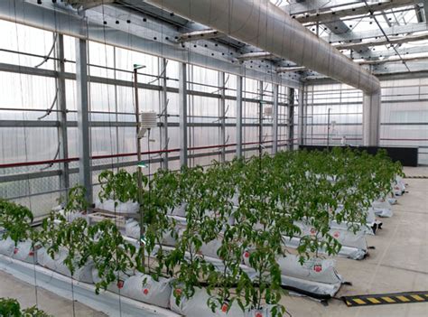 Building Integrated Rooftop Greenhouses An Energy And Environmental