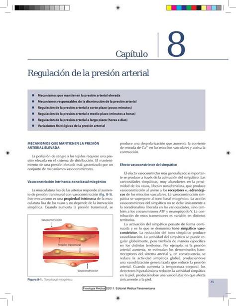 Regulación De La Presión Arterial Valentina Hernandez Udocz