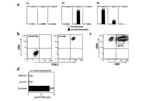 Characterization Of CII Specific CD4 T Cell Hybridomas A Cytokine