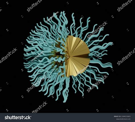 Polymeric Micelles Structures Formed By Amphiphilic Stock Illustration ...