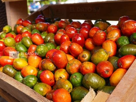 Jocotes de Corona en El Salvador: Tesoro Tropical de Sabor y Tradición