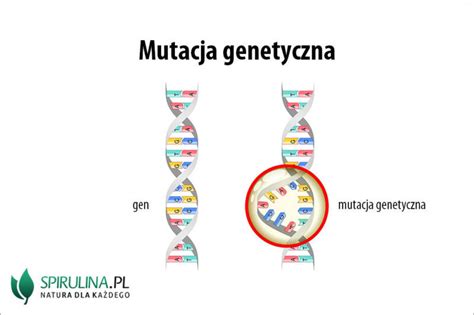 Mutacja Genetyczna Algi Spirulina I Chlorella