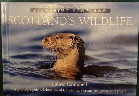 Scotlands Wildlife A Photographic Celebration Of Caledon By Laurie