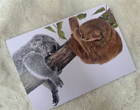 Koala and Sloth Print - Etsy