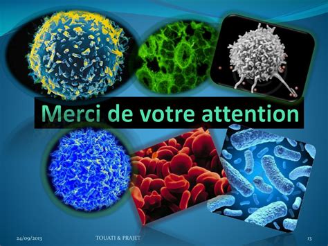 Ppt Les Liquides De Lorganisme Powerpoint Presentation Free