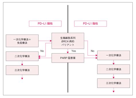 総説 Ⅴ．転移・再発乳癌 総説 乳癌診療ガイドライン2022年版