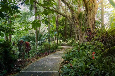 Visit waimea valley botanical garden oahu – Artofit