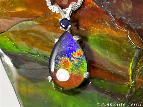 Ammolite Buying Tips - Ammolite Fossil