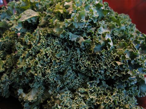 Kale: Superfood and Delicious Too! - The Paleo Mom