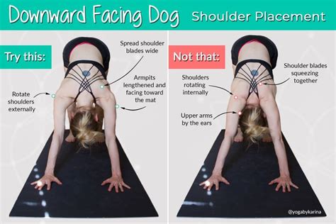 Downward-Facing Dog Pose Tutorial