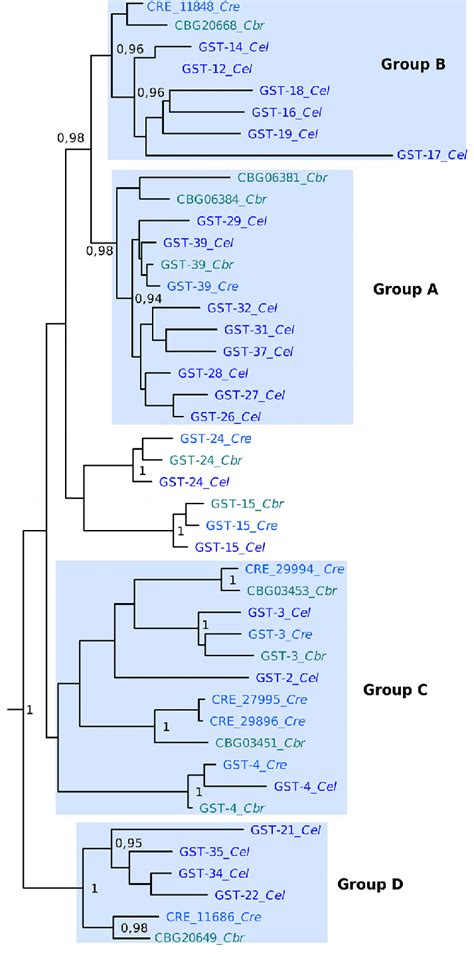 Lineage Specific Expansions Within The Genus Level An Excerpt Of The