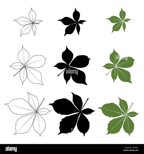 Set Of Vector Chestnut Leaf Outline Silhouette Black And Coloured Icon