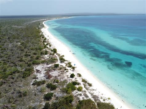 Premium Photo | Aerial view of the bahia de las aguilas, dominican republic