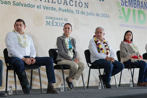 Con Sembrando Vida Se Siembra Vida Y Patria Claudia Sheinbaum Va Por