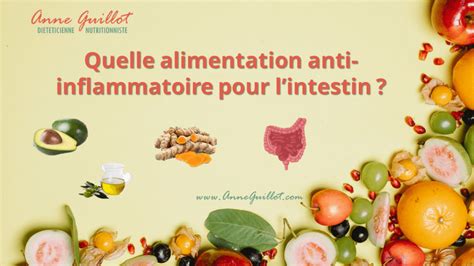 Quelle Alimentation Anti Inflammatoire Pour Lintestin