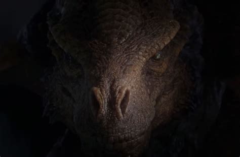 House Of The Dragon Will Reveal Dragons In First Season With