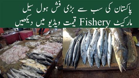 Biggest Fish Market In Karachi 2022 Karachi Fishery Wholesale Fish