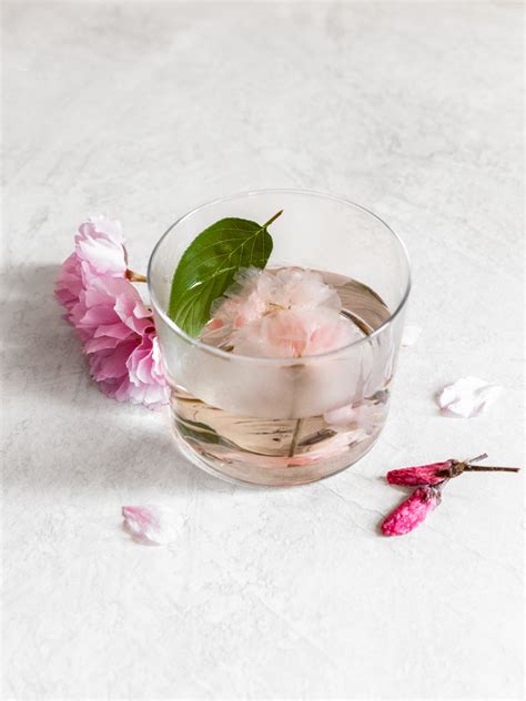 Savor Spring How To Make Preserved Cherry Blossom Tea — The Rikumo Journal