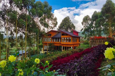 5 Tempat Menginap Di Sekitar Desa Alahan Panjang Kabupaten Solok