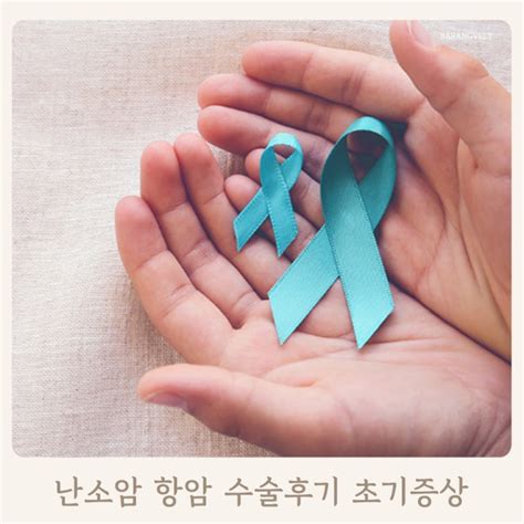 난소암 3기c 항암 수술후기 초기 증상 및 수치 1기 2기 3기 4기 기수 차이 네이버 블로그