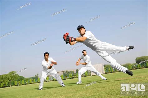 Cricketers Fielding Stock Photo Picture And Royalty Free Image Pic