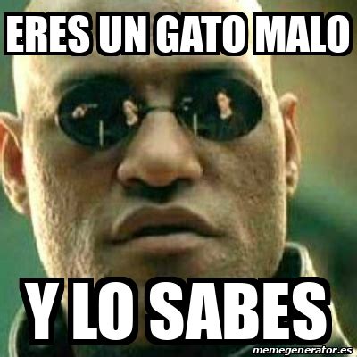 Meme What If I Told You Eres Un Gato Malo Y Lo Sabes