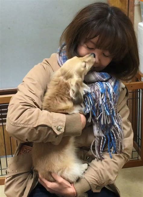 Dogs Shed Tears Of Joy When Reuniting With Owners Study